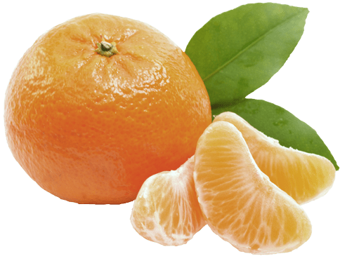 Mandarina Royal